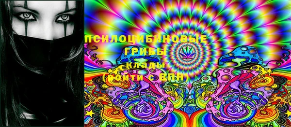 стафф Бронницы