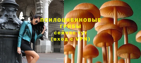 прущий лед Богородск