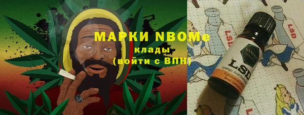 прущий лед Бородино