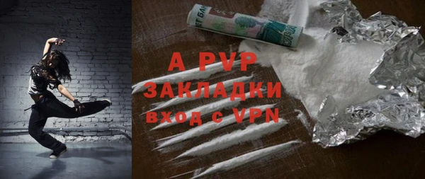 твердый Заводоуковск